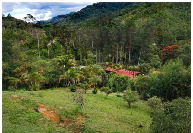 Navarro Mountain Cartago Dış mekan fotoğraf