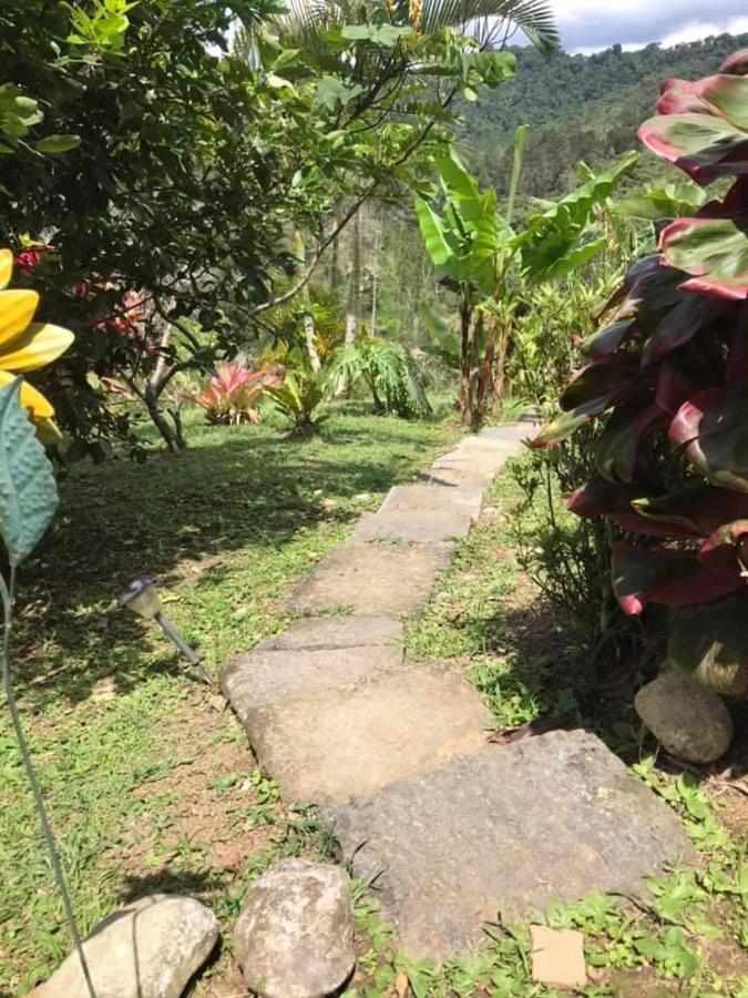 Navarro Mountain Cartago Dış mekan fotoğraf