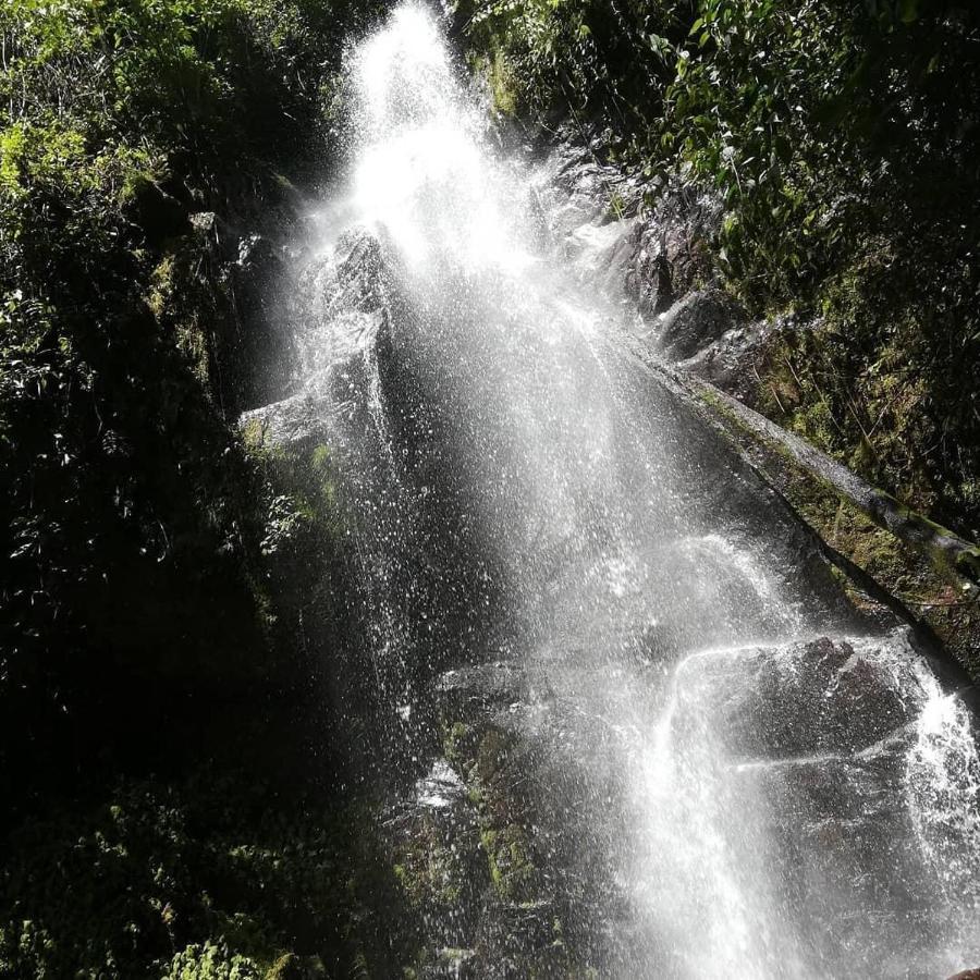 Navarro Mountain Cartago Dış mekan fotoğraf