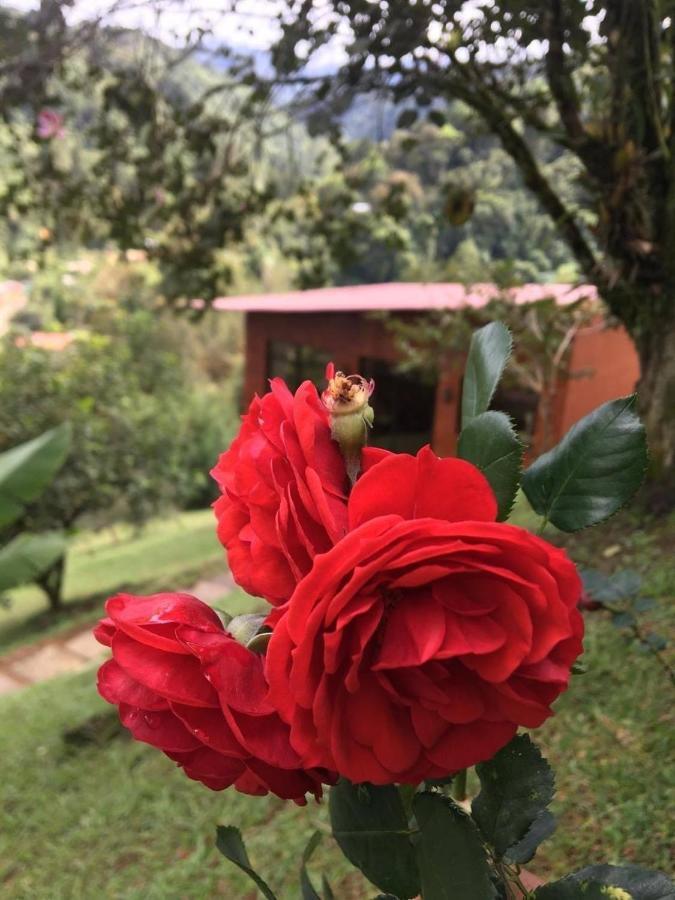 Navarro Mountain Cartago Dış mekan fotoğraf
